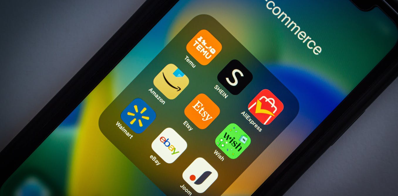 Hooked on Bargains: How Shein, Temu and AI-Powered Tricks Are Rewiring Online Shopping